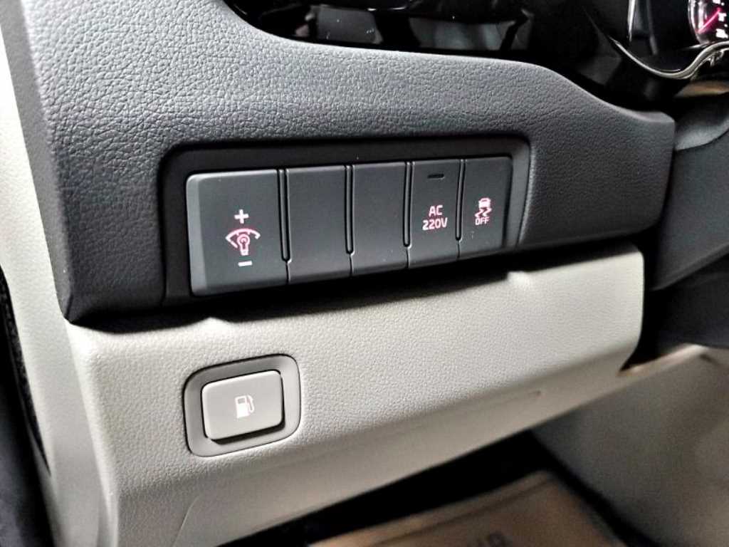 KIA Carnival - Vista 12