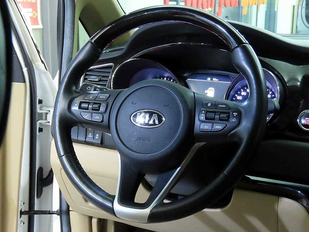 KIA Carnival - Vista 8