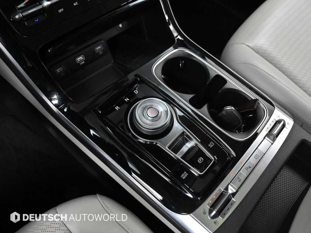 KIA Carnival - Vista 9