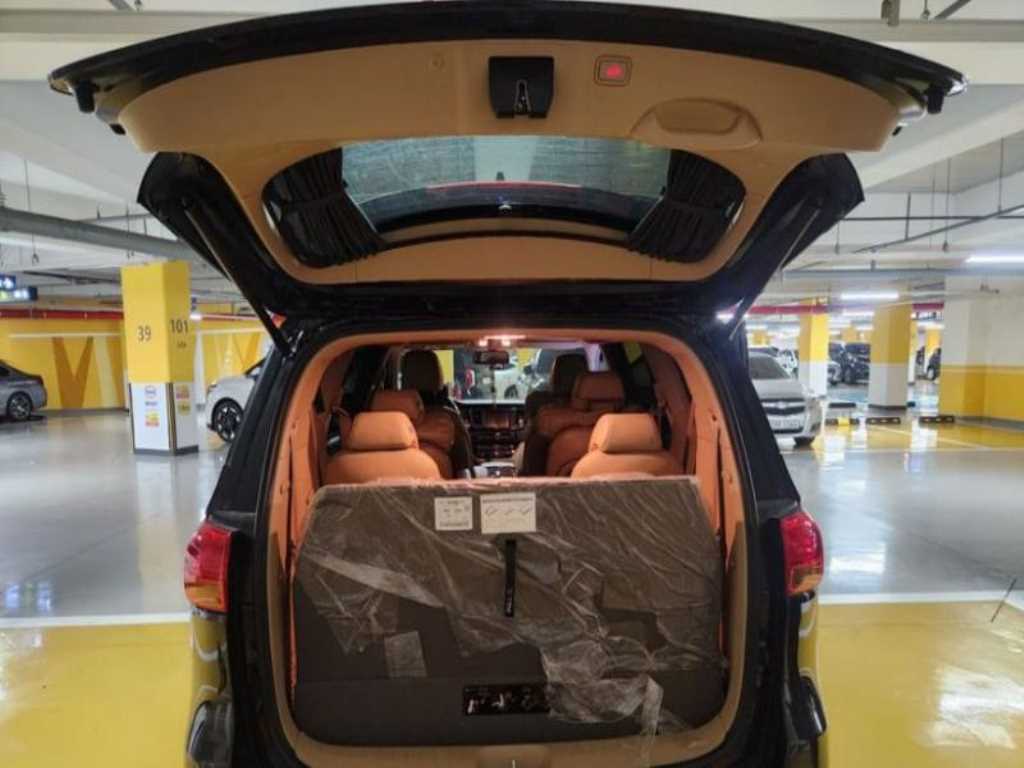 KIA Carnival - Vista 7