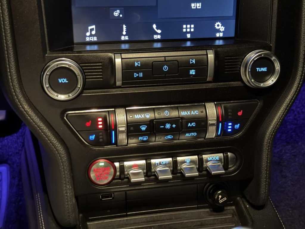 Ford Mustang - Vista 10