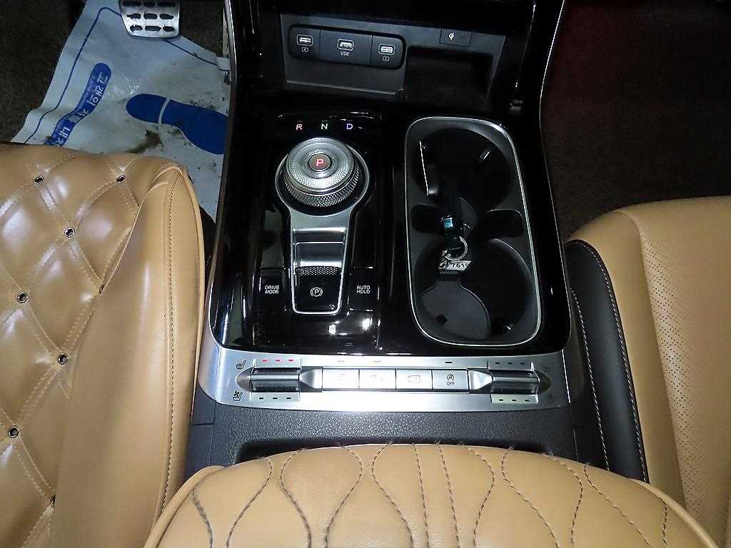 KIA Carnival - Vista 12