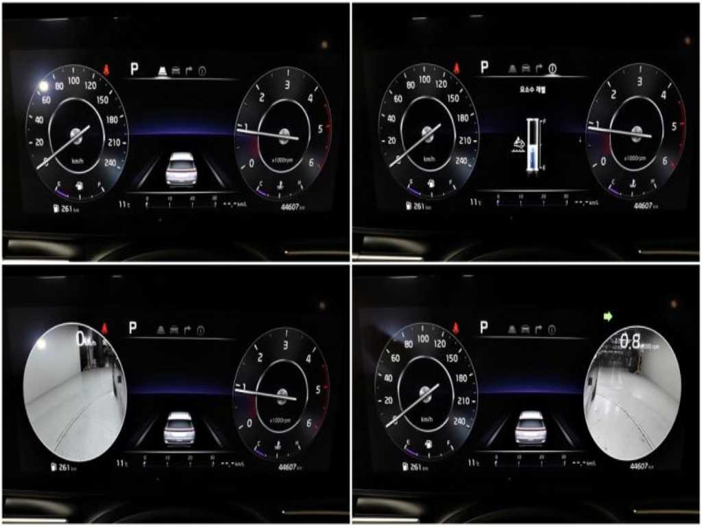 KIA Carnival - Vista 9