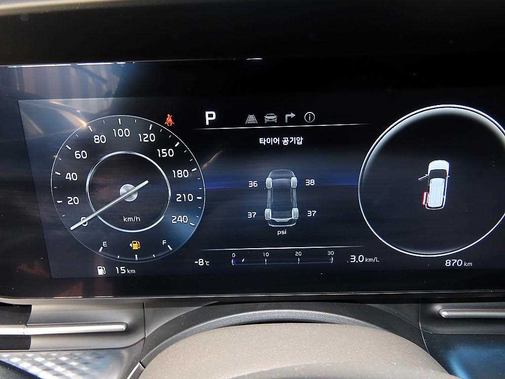 KIA Carnival - Vista 10