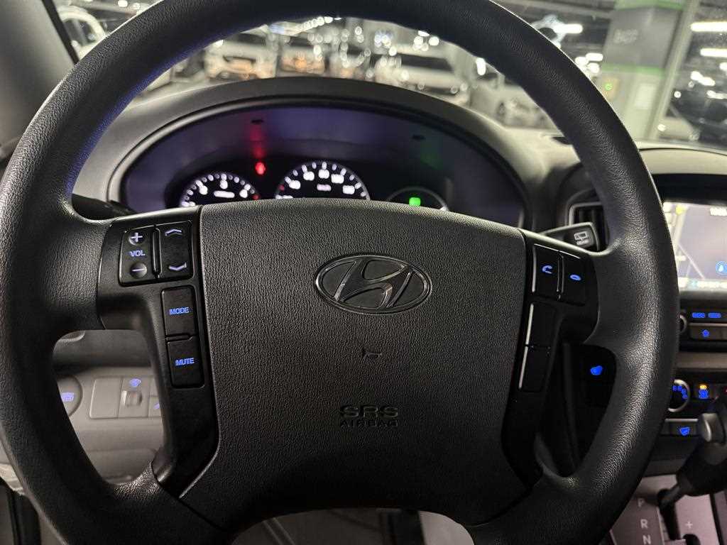 HYUNDAI Starex - Vista 8