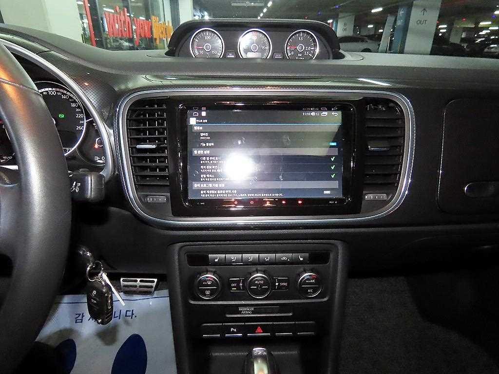 Volkswagen Beetle - Vista 11