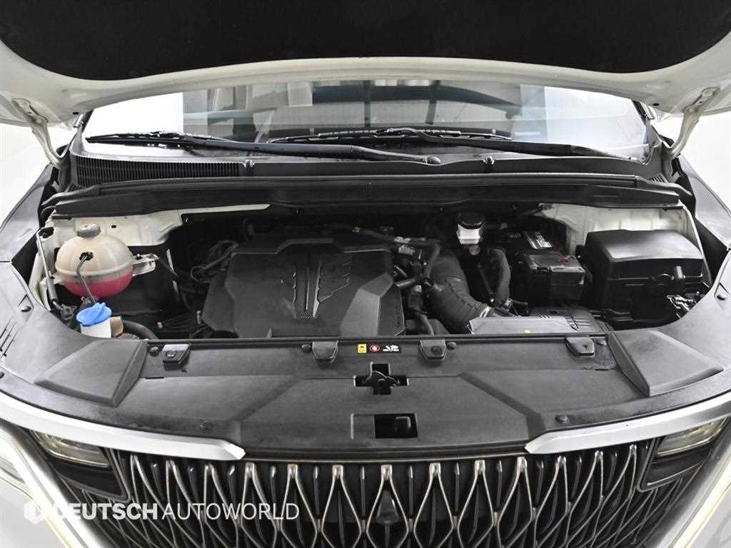 KIA Carnival - Vista 6