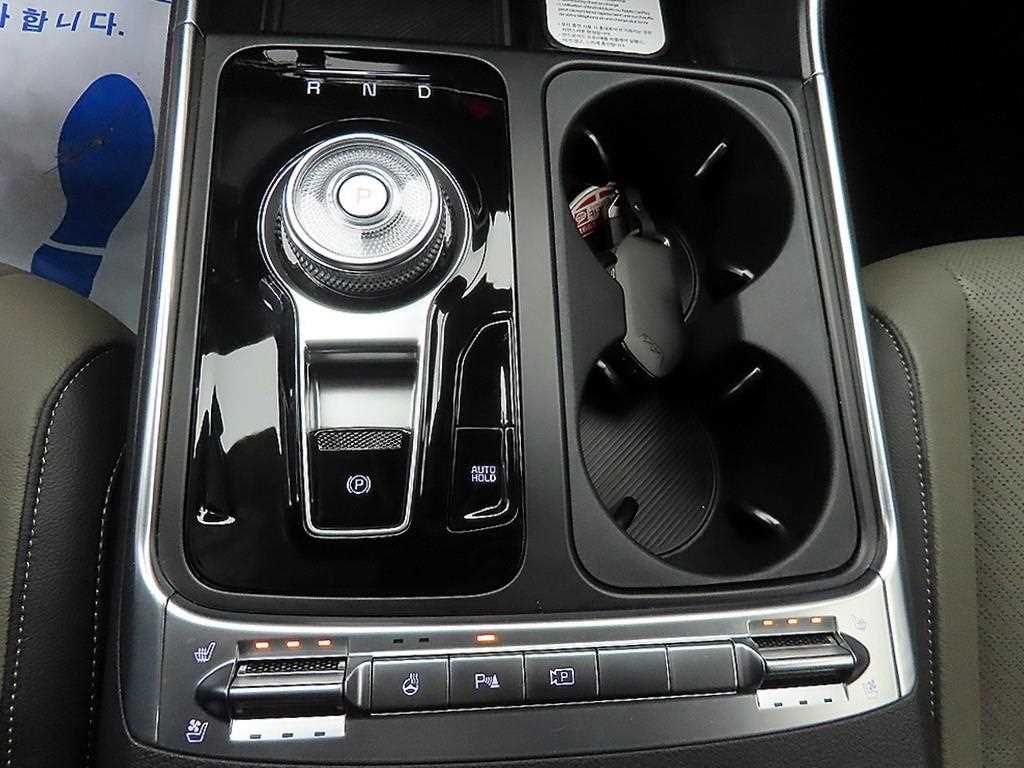 KIA Carnival - Vista 10