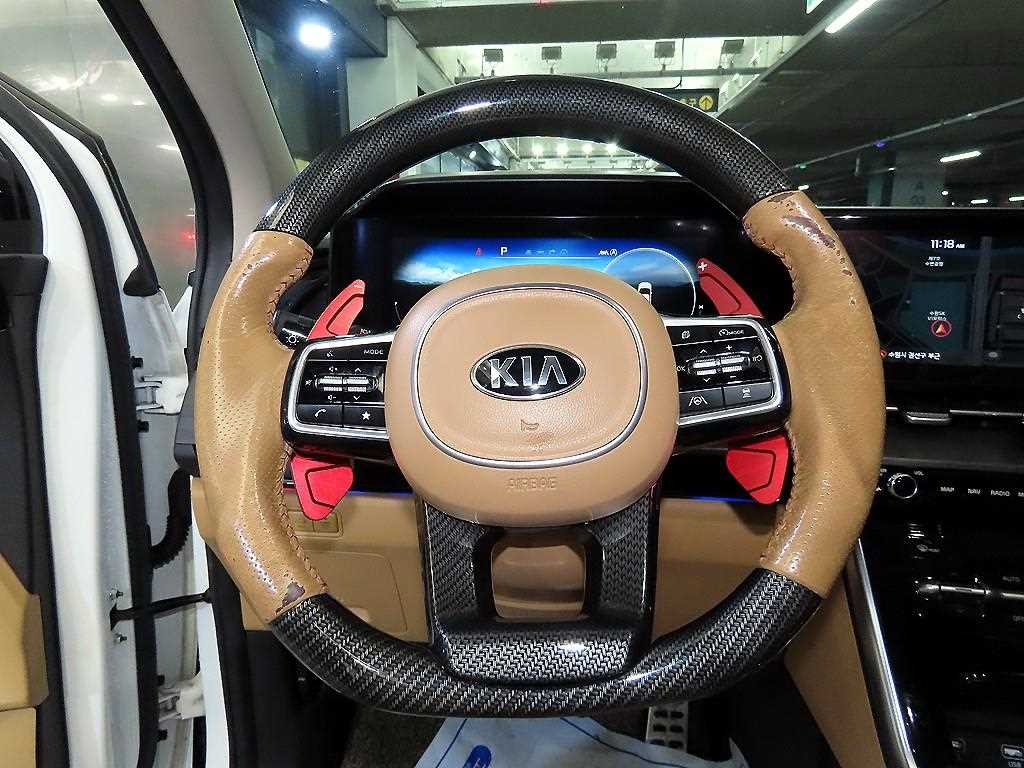 KIA Carnival - Vista 8