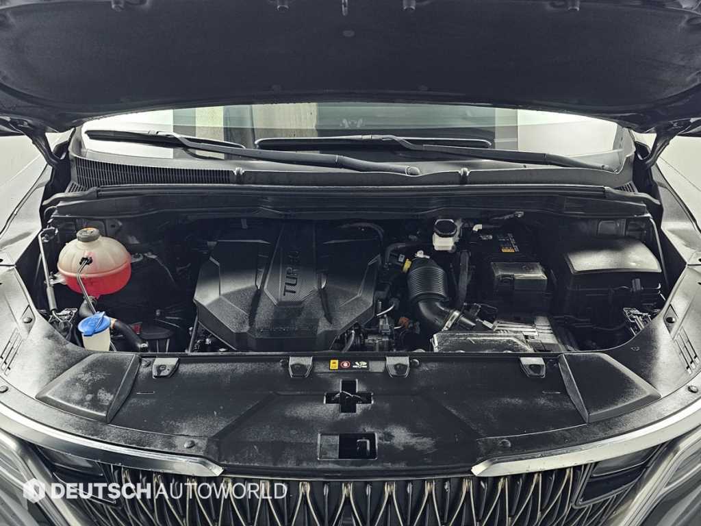 KIA Carnival - Vista 6