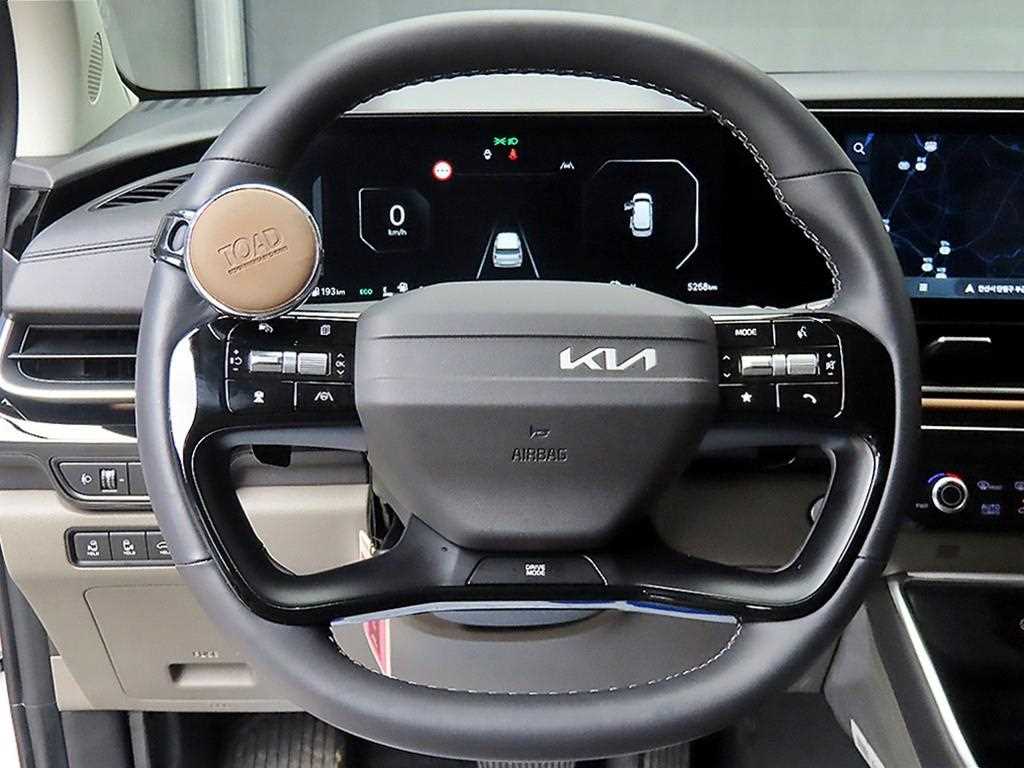 KIA Carnival - Vista 9