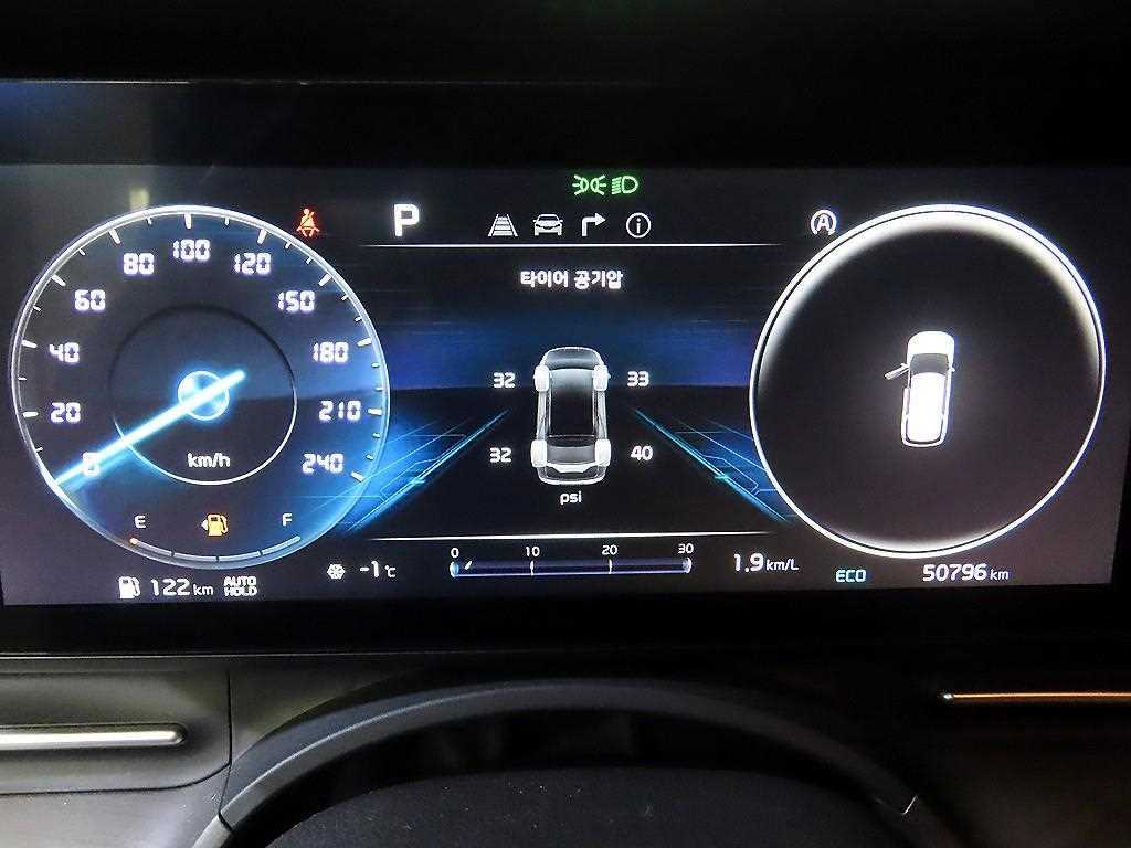 KIA Carnival - Vista 9