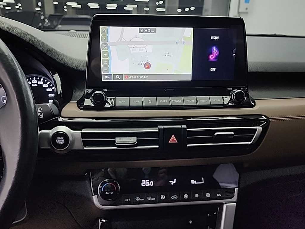 KIA Seltos - Vista 10