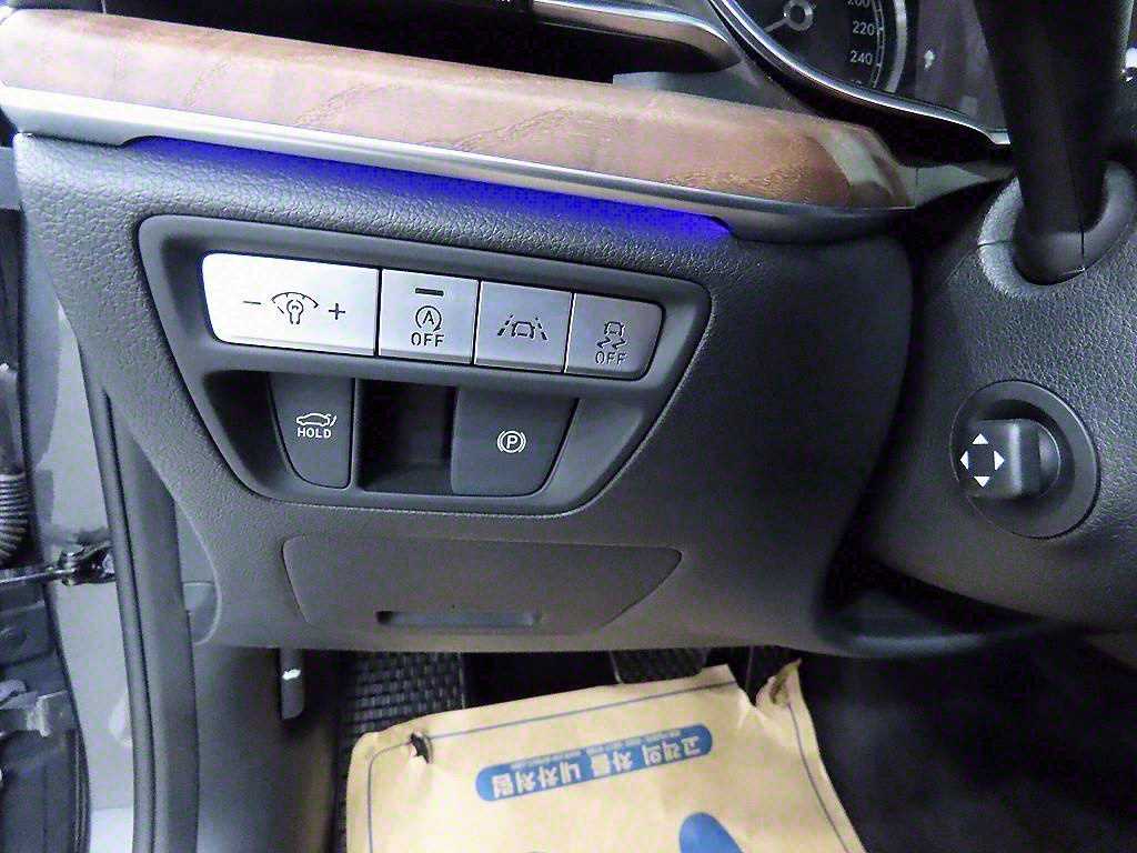 Genesis G80 - Vista 12