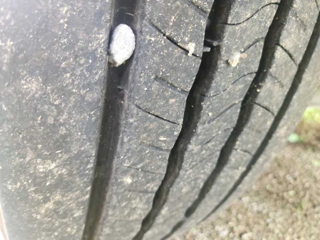 medium and large cargo Cargo - Vista 4