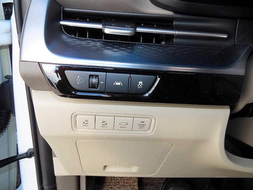 KIA Carnival - Vista 12