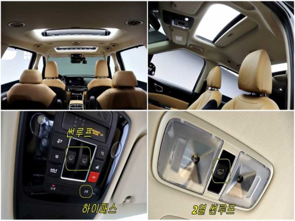KIA Carnival - Vista 12