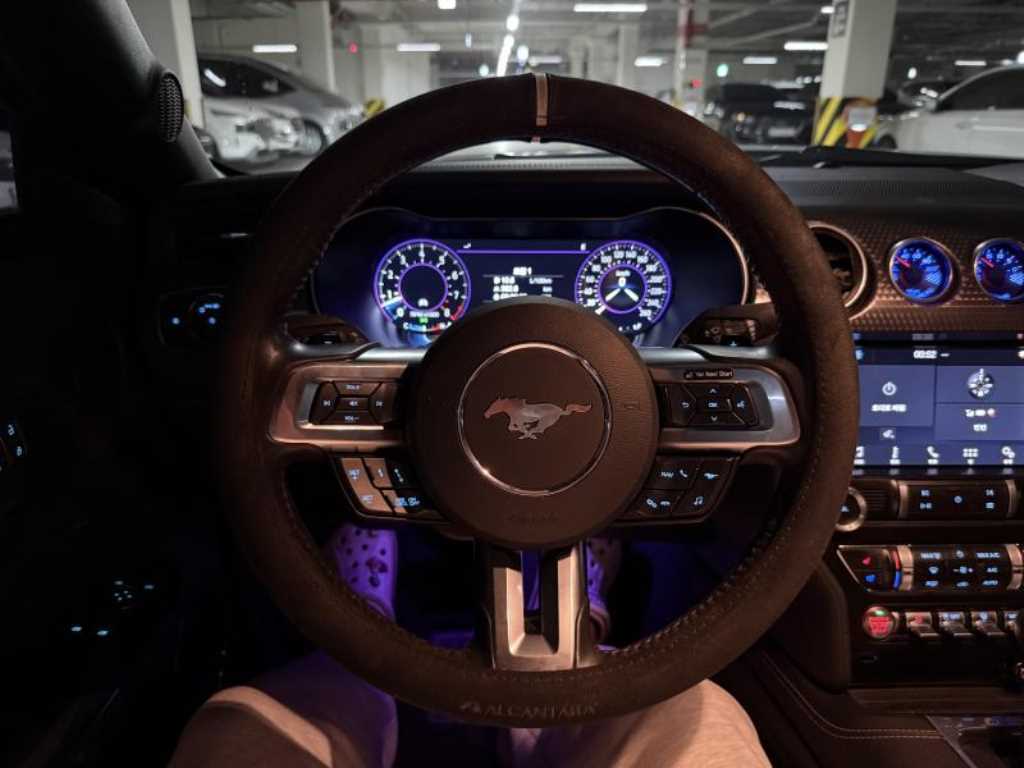 Ford Mustang - Vista 6