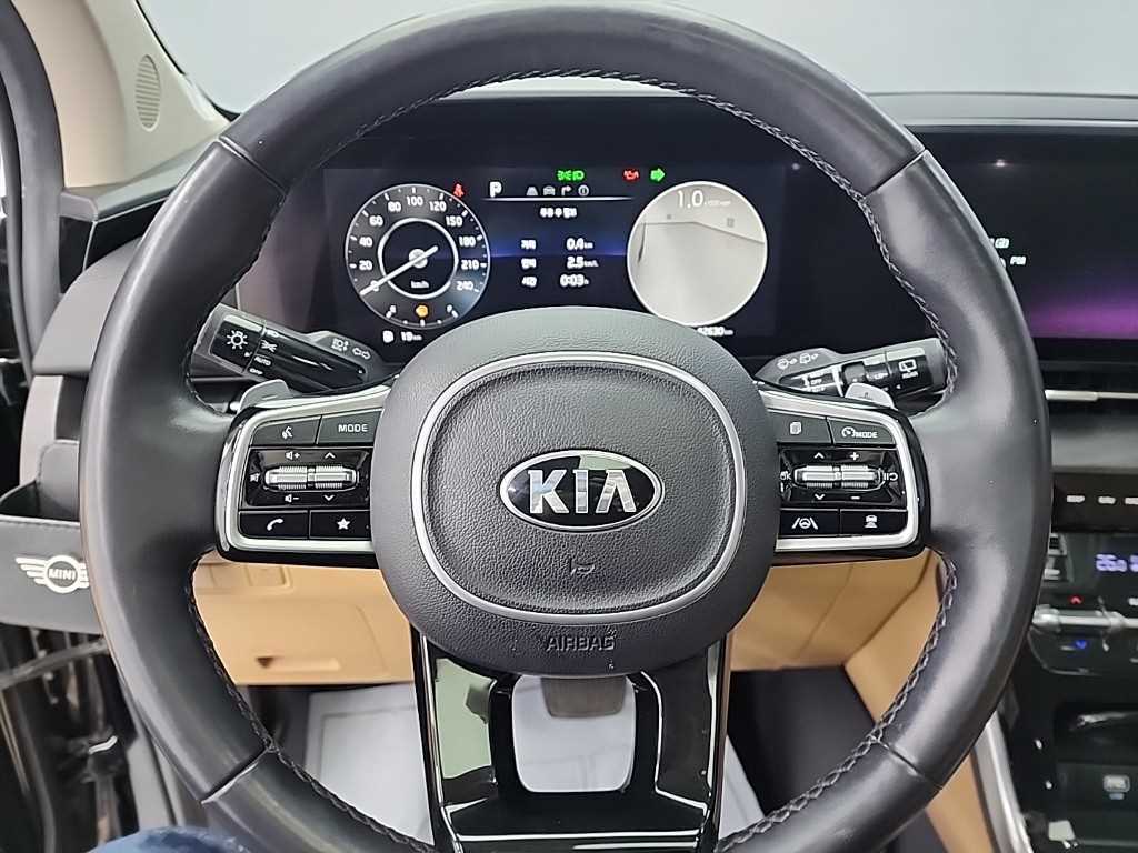 KIA Carnival - Vista 9