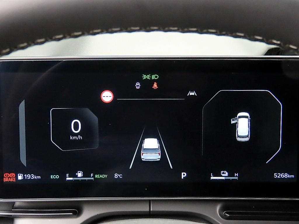 KIA Carnival - Vista 8