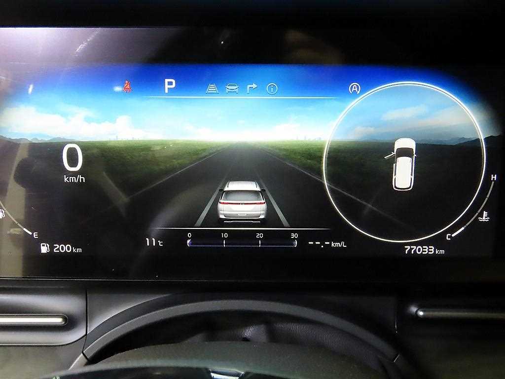 KIA Carnival - Vista 9