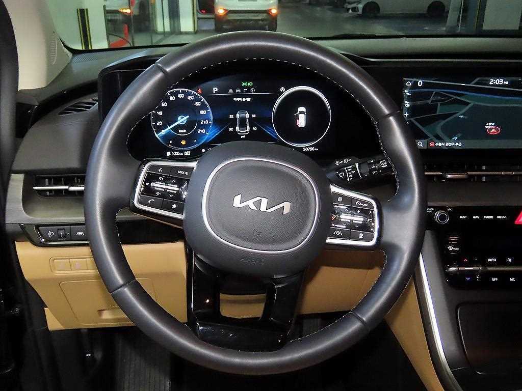 KIA Carnival - Vista 8