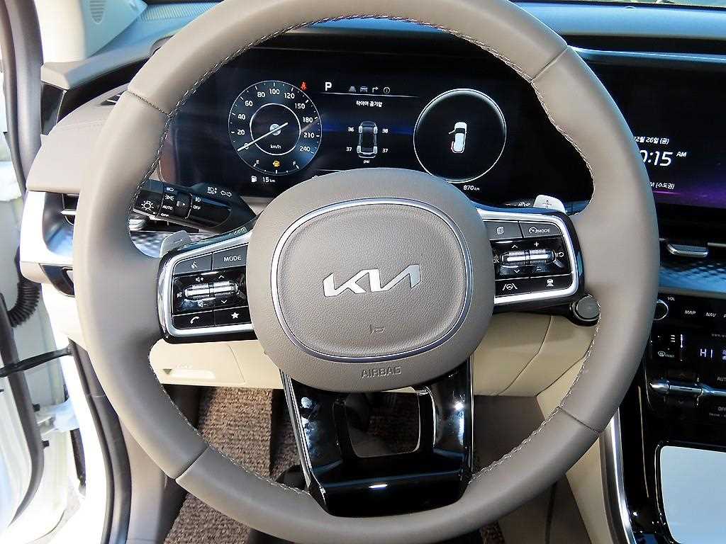 KIA Carnival - Vista 9