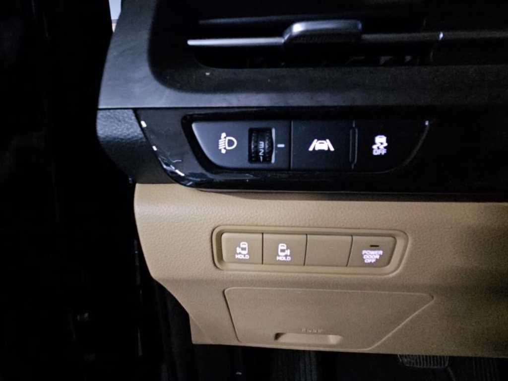 KIA Carnival - Vista 8