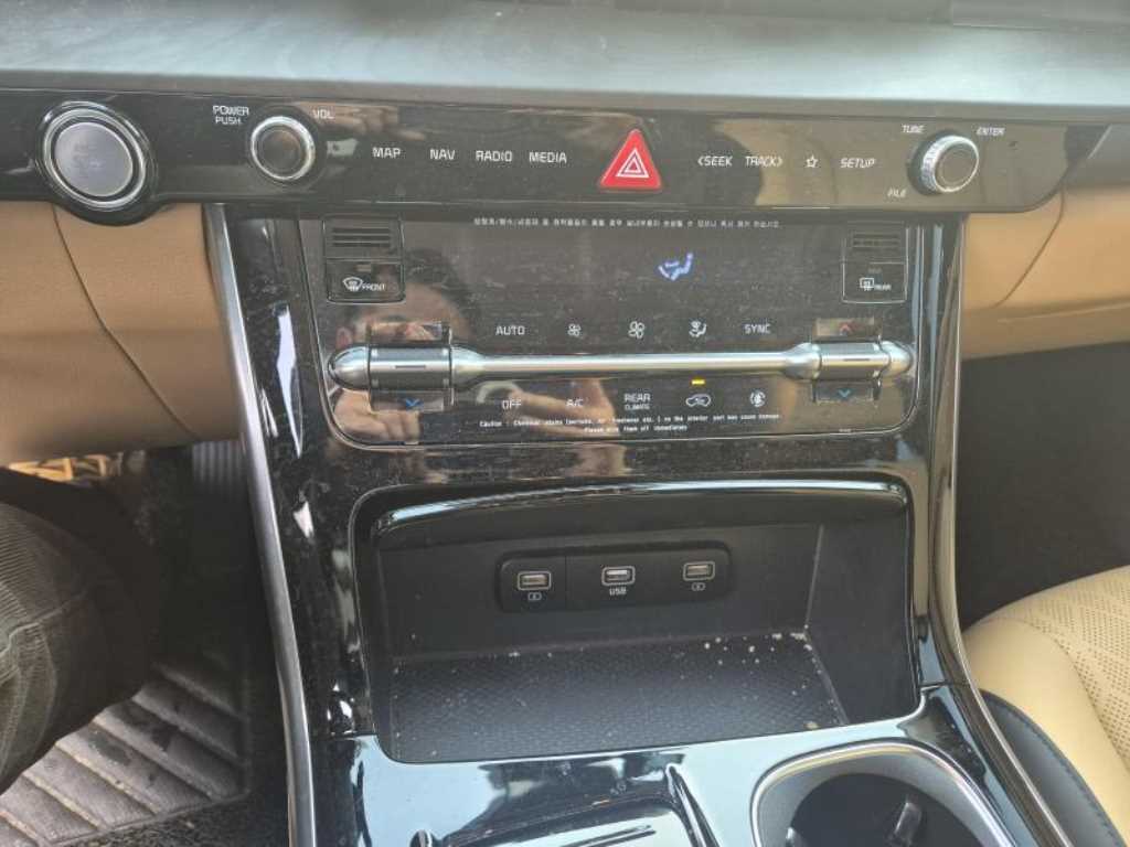 KIA Carnival - Vista 8