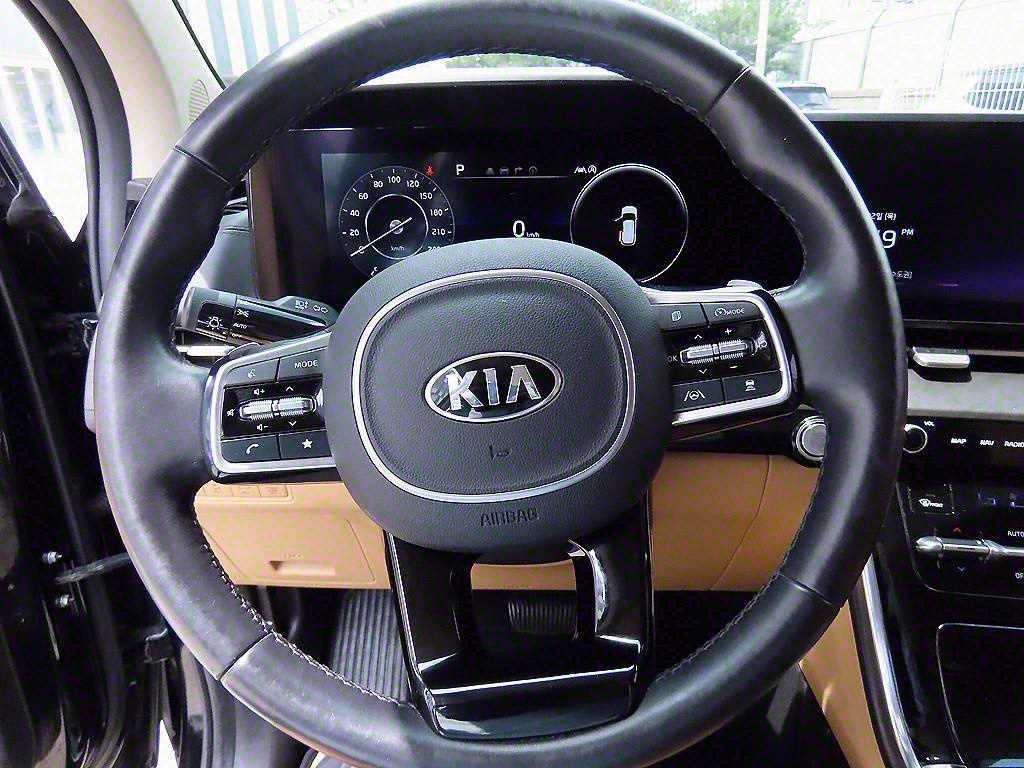 KIA Carnival - Vista 9