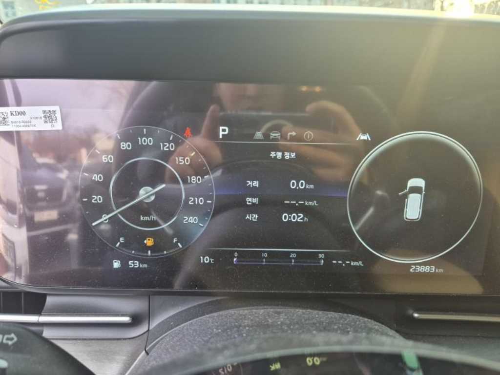 KIA Carnival - Vista 6