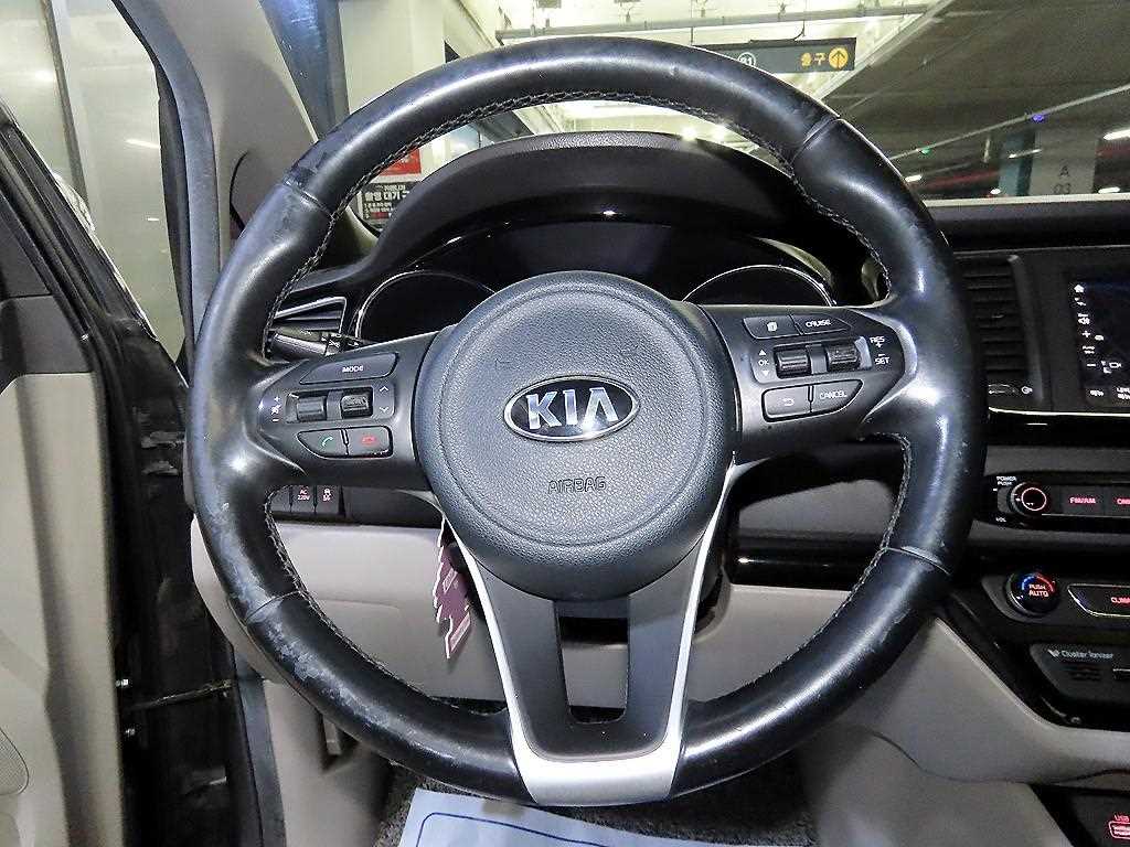 KIA Carnival - Vista 8