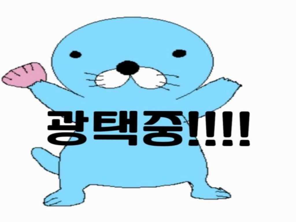 Ssangyong Korando - Vista 8