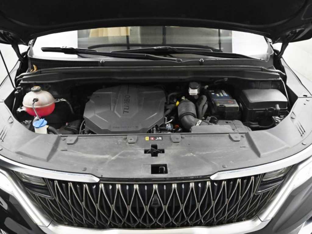 KIA Carnival - Vista 6