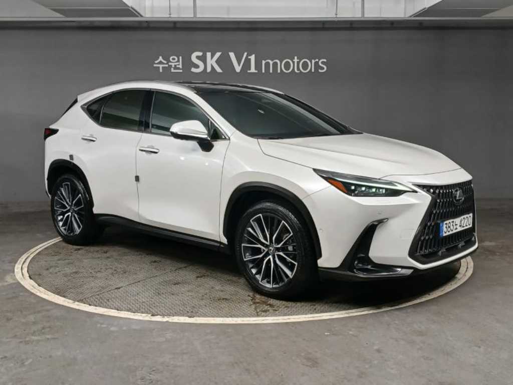 Lexus NX - Vista 5