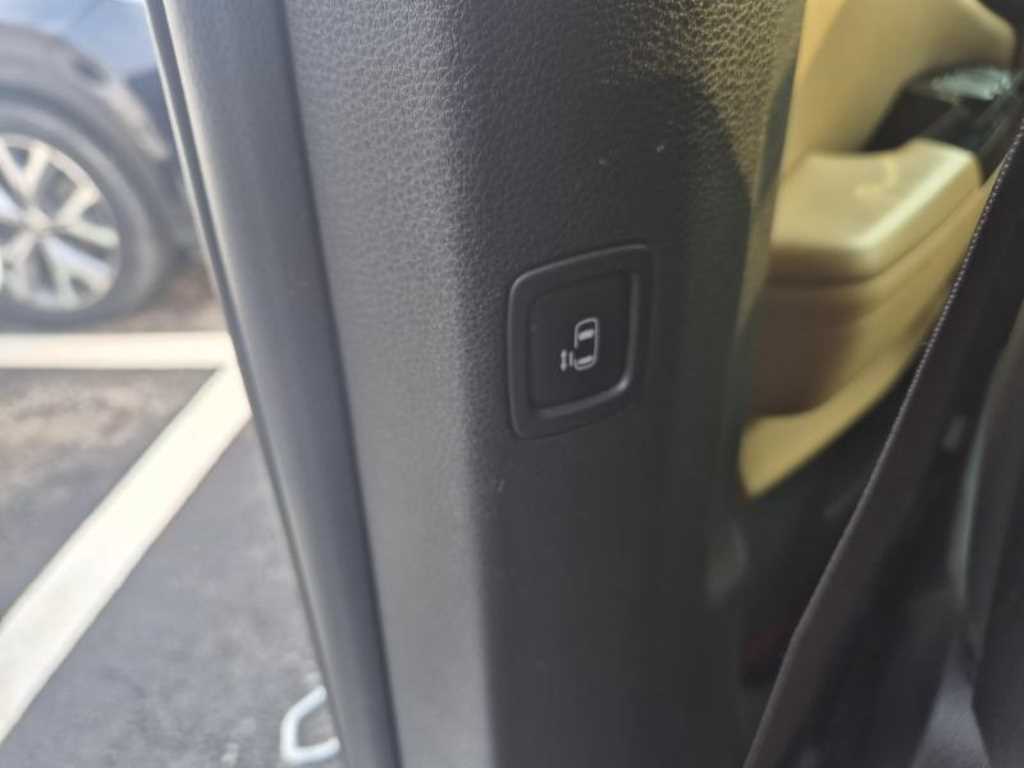 KIA Carnival - Vista 12