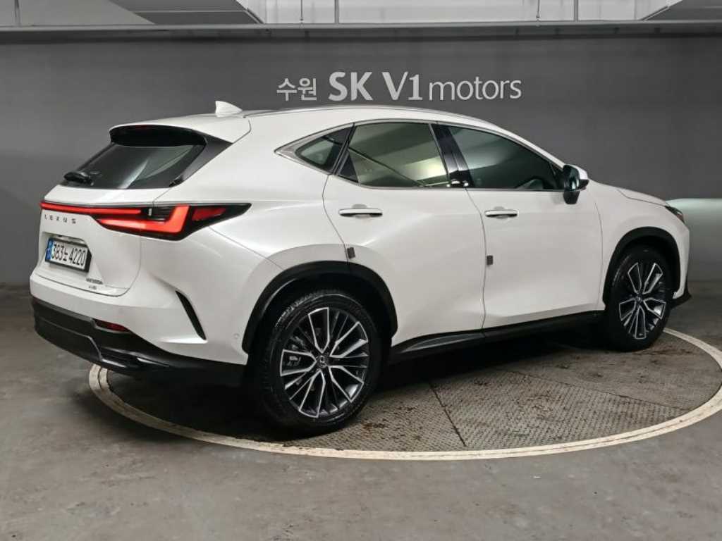 Lexus NX - Vista 4