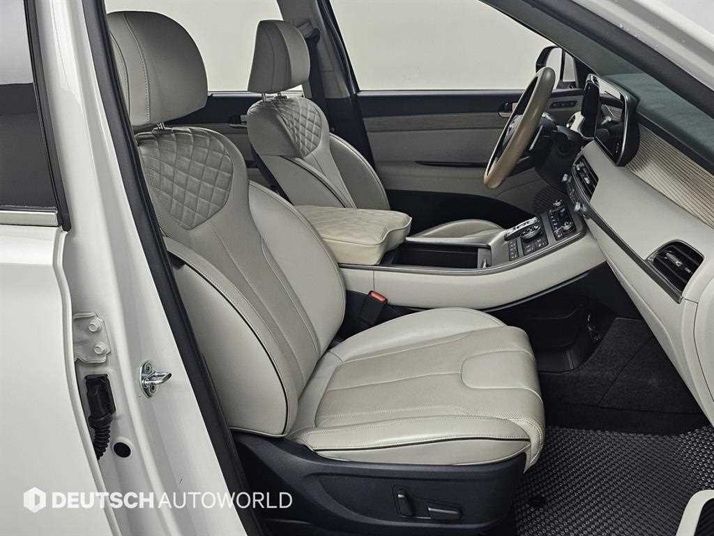 HYUNDAI Palisade - Vista 10