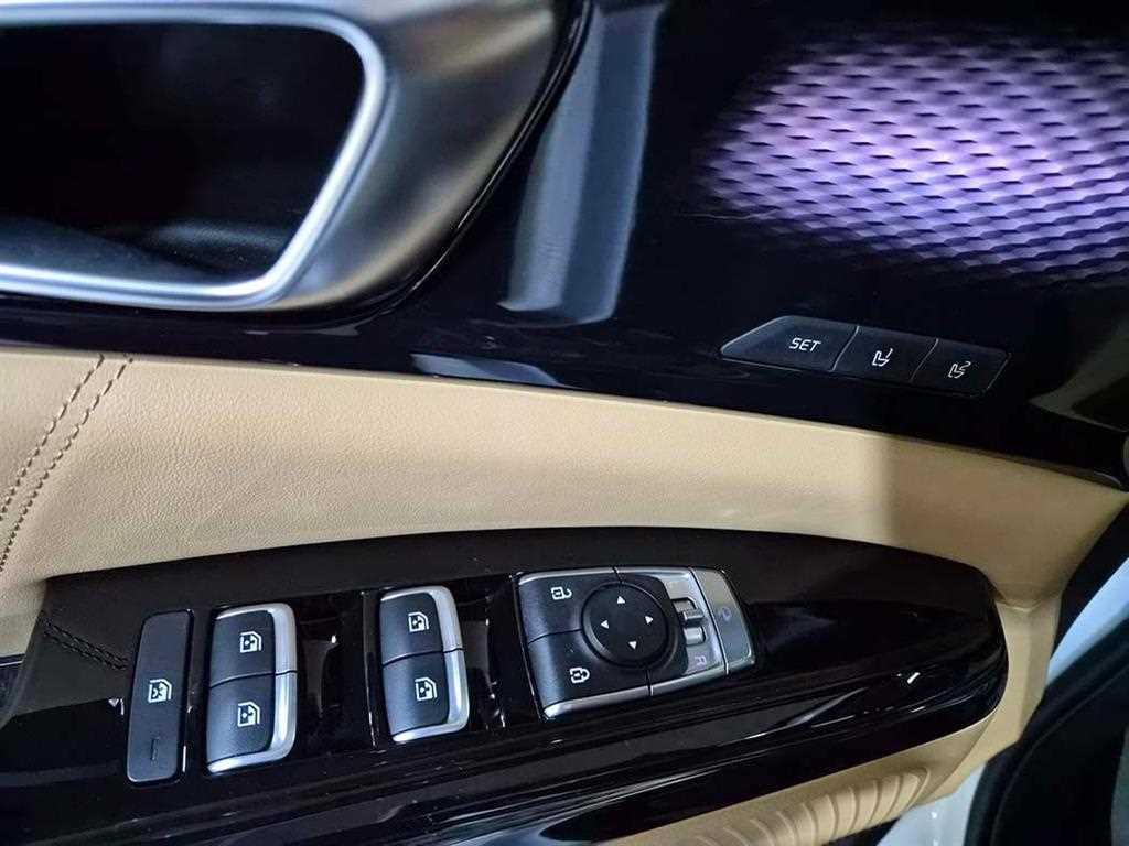 KIA Carnival - Vista 12