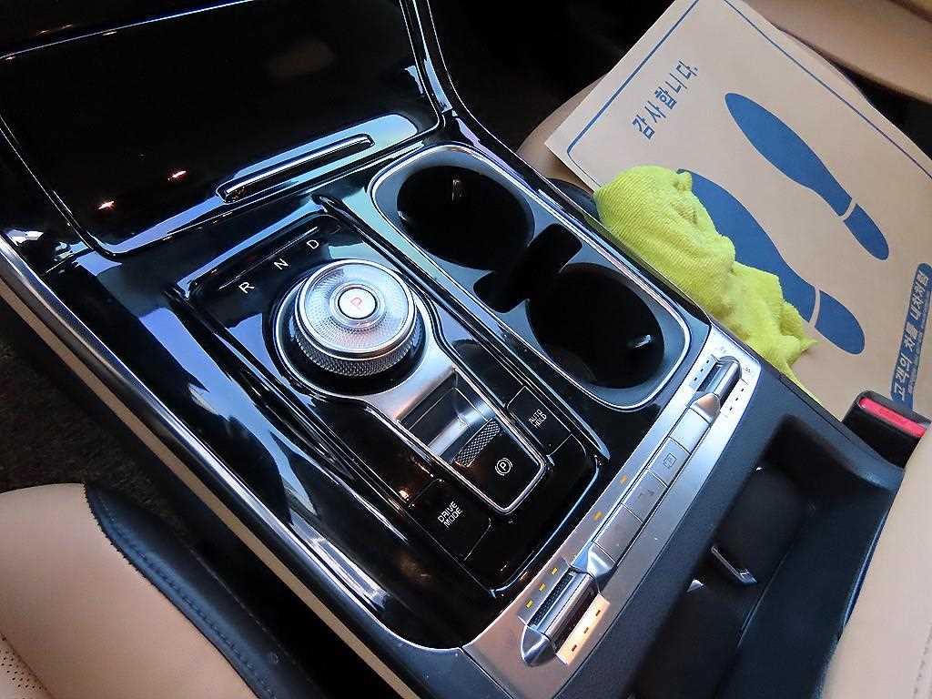 KIA Carnival - Vista 11