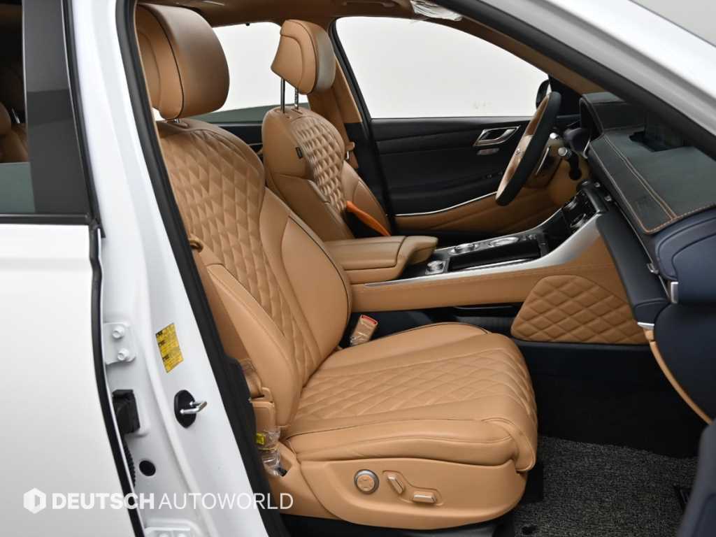 Genesis GV80 - Vista 10