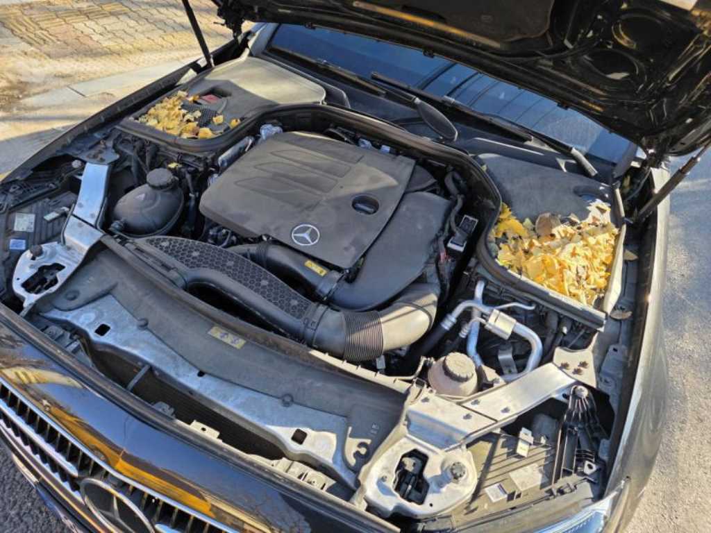 Mercedes Benz E class 2022 - Importación desde Corea - HF Imports Iquique - Foto 20