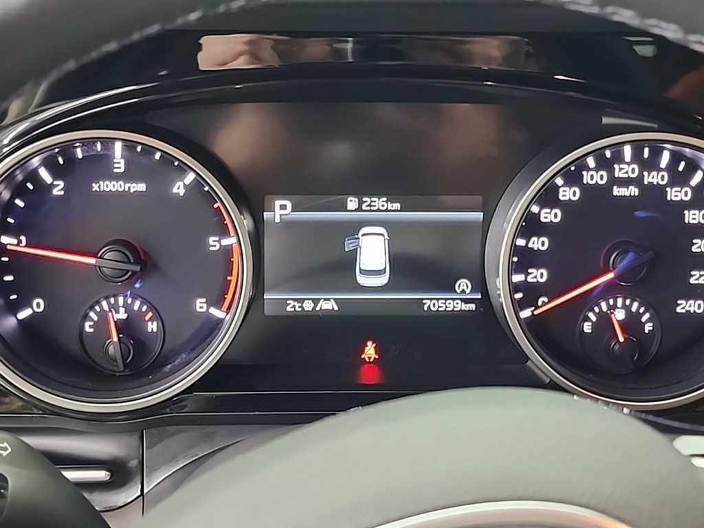 KIA Carnival - Vista 6