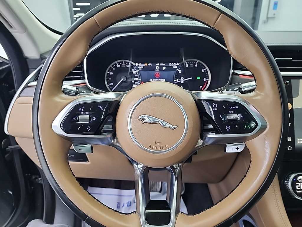 Jaguar F-PACE - Vista 9