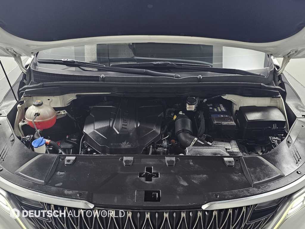 KIA Carnival - Vista 6