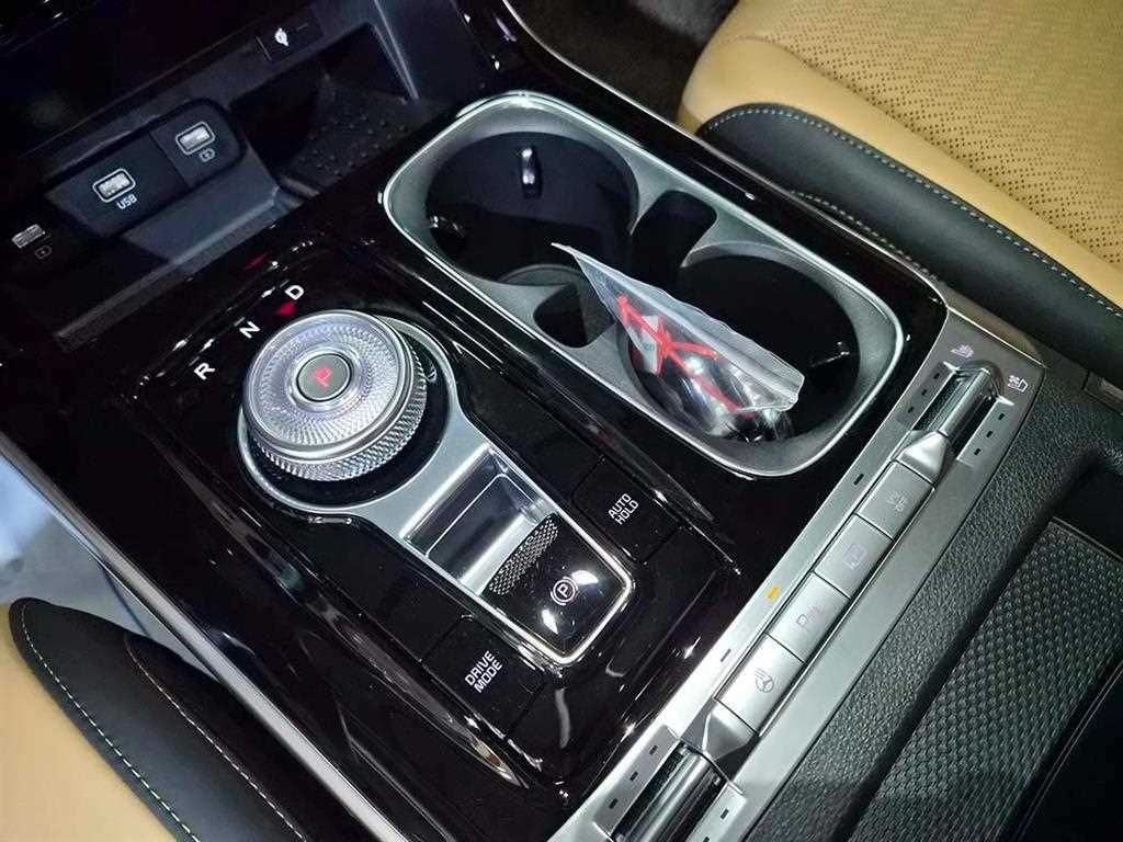 KIA Carnival - Vista 11