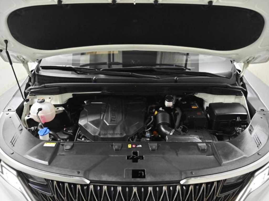 KIA Carnival - Vista 6