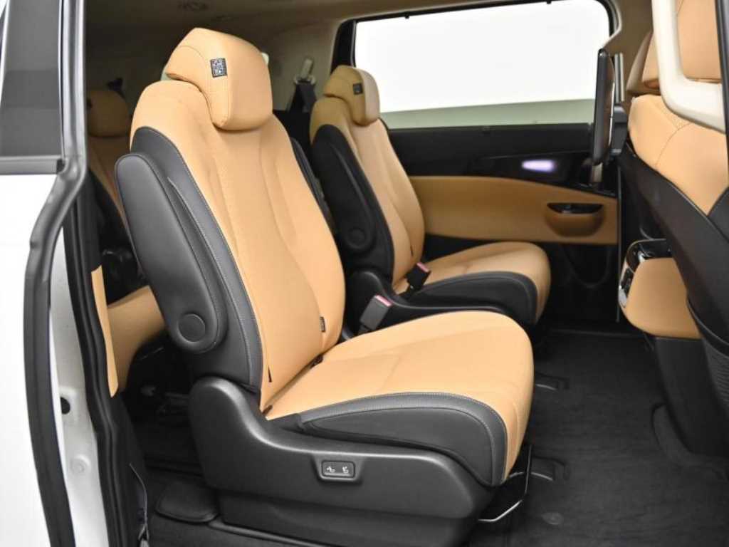 KIA Carnival - Vista 12