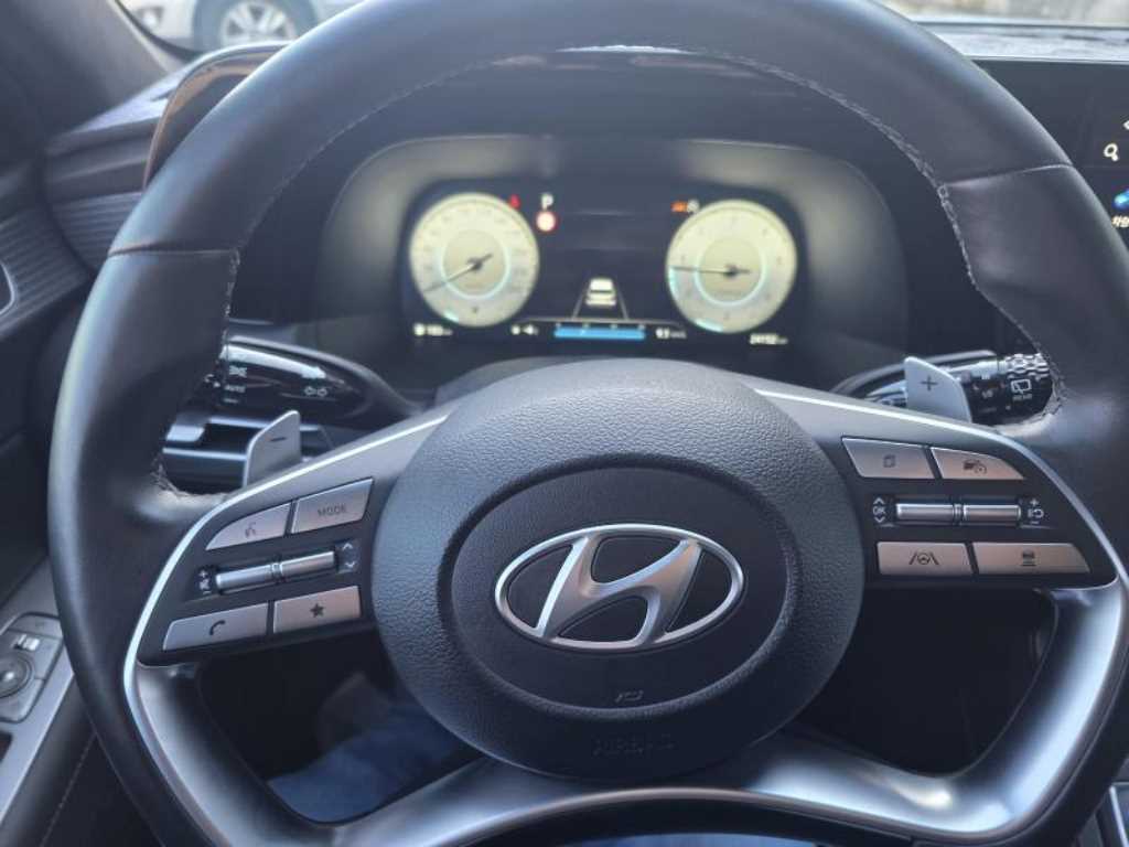 HYUNDAI Palisade - Vista 10