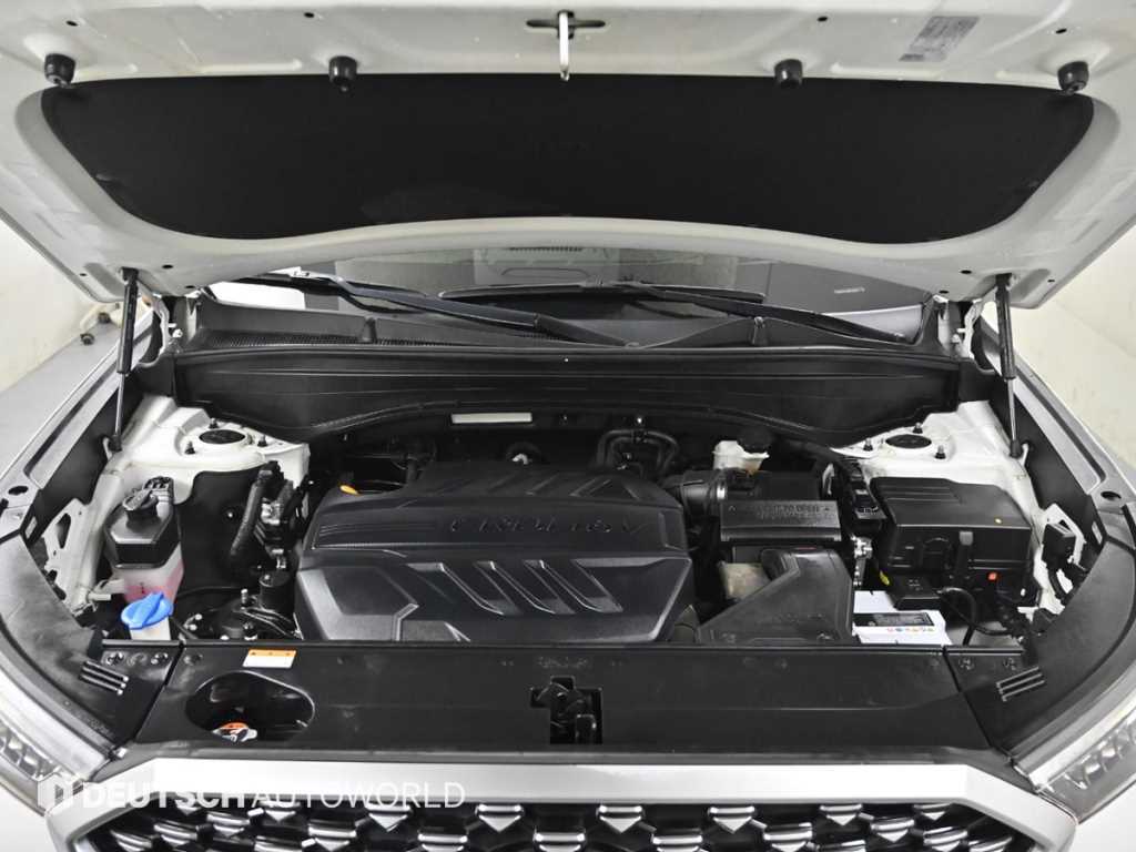 HYUNDAI Palisade - Vista 6